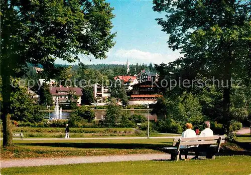 AK / Ansichtskarte Hahnenklee Bockswiese Harz Im Kurpark Kat. Goslar