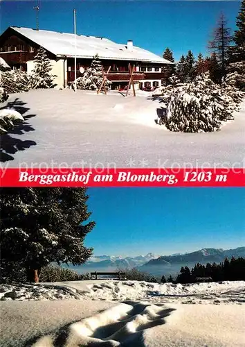 AK / Ansichtskarte Bad Toelz Berggasthof am Blomberg Winterpanorama Alpen Kat. Bad Toelz