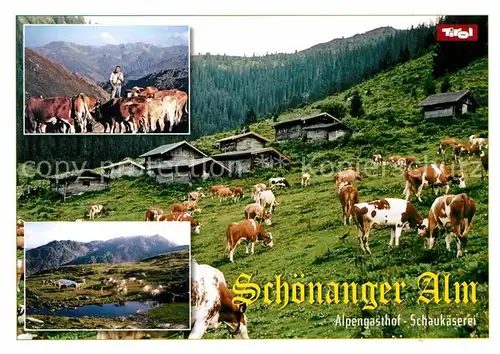 AK / Ansichtskarte Auffach Alpengasthof Schaukaeserei Schoenanger Alm Kuehe Kat. Wildschoenau