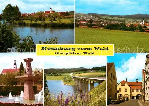 AK / Ansichtskarte Neunburg Wald Panorama Brunnen Bruecke  Kat. Neunburg vorm Wald