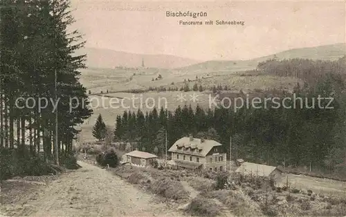AK / Ansichtskarte Bischofsgruen Panorama mit Schneeberg Kat. Bischofsgruen