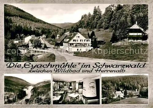 AK / Ansichtskarte Dobel Schwarzwald Gasthaus Pension Eyachmuehle Gaststube Panorama Kat. Dobel