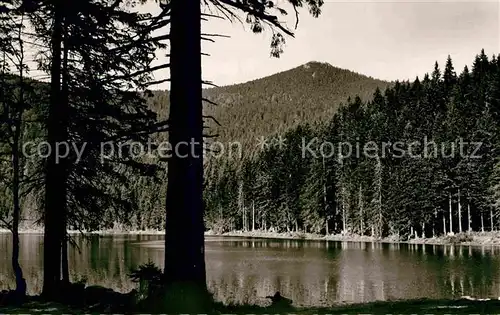 AK / Ansichtskarte Arbersee Arbergipfel Kat. Bayerisch Eisenstein