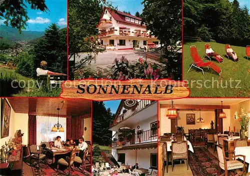 AK / Ansichtskarte Bad Herrenalb Hotel Pension Sonnenalb Kat. Bad Herrenalb