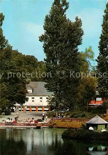 AK / Ansichtskarte Manderscheid Eifel Hotel Cafe Heidsmuehle Kat. Manderscheid