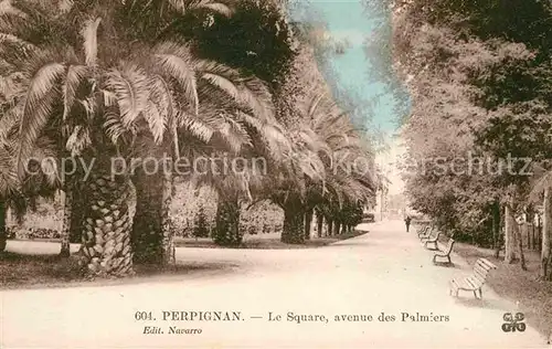 AK / Ansichtskarte Perpignan Le Square Avenue des Palmiers Kat. Perpignan