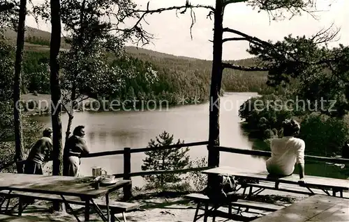 AK / Ansichtskarte Hoellensteinsee Panorama Ausflugskanzel Kat. Viechtach