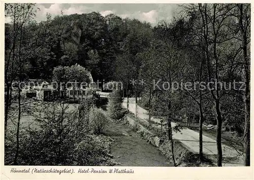 AK / Ansichtskarte Froendenberg Ruhr Hotel Pension Platthaus Kat. Froendenberg Ruhr