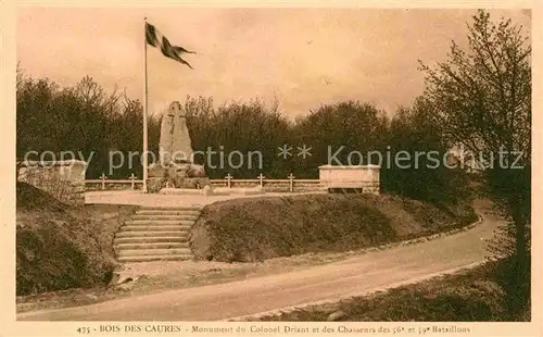 AK / Ansichtskarte Bois des Caures Le Monument du Colonel Driant et des Chasseurs des 56e et 59e Bataillons Kriegerdenkmal Kat. Flabas