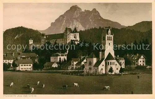 AK / Ansichtskarte Fuessen Allgaeu Schlosser Panorama Kat. Fuessen