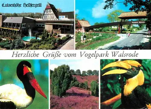AK / Ansichtskarte Walsrode Lueneburger Heide Vogelpark Luisenhoehe Heidjergrill Kat. Walsrode