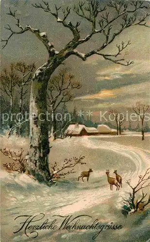 AK / Ansichtskarte Weihnachten Winterlandschaft Rehe  Kat. Greetings