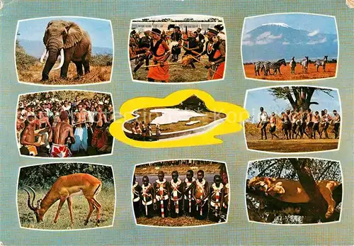 AK / Ansichtskarte Tiere East African Game and Tribes Elefant Zebra Loewe  Kat. Tiere