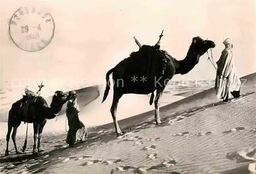 AK / Ansichtskarte Typen Arabien Kamele Piste desertique  Kat. Typen