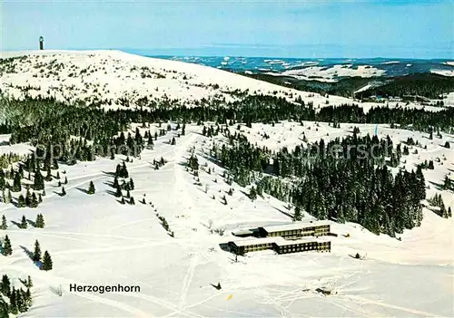 AK / Ansichtskarte Herzogenhorn Winterlandschaft Luftbild Kat. Feldberg (Schwarzwald)