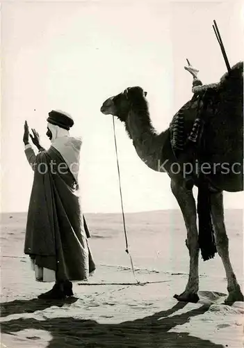 AK / Ansichtskarte Typen Arabien Priere du Soir Kamel  Kat. Typen