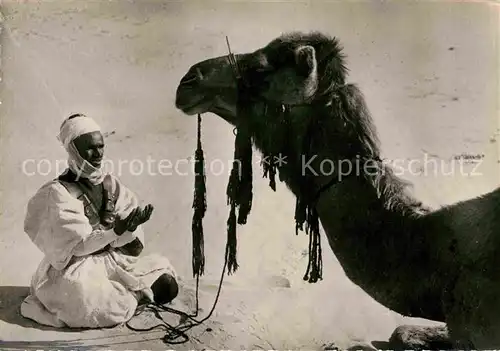 AK / Ansichtskarte Kamele Homme prie Bete medite  Kat. Tiere