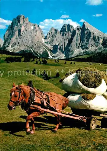 AK / Ansichtskarte Landwirtschaft Pferd Dolomiti Alpe di Siusi Seiser Alm  Kat. Landwirtschaft