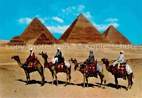 AK / Ansichtskarte Kamele Camel Caravan Giza Pyramids  Kat. Tiere