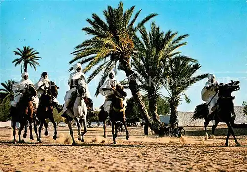 AK / Ansichtskarte Pferde Tunisie Fantasia Kat. Tiere