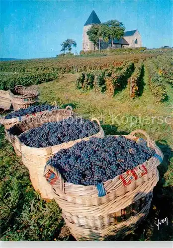 AK / Ansichtskarte Ernte Landwirtschaft Traubenlese Vendanges Champagne  Kat. Landwirtschaft