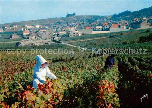 AK / Ansichtskarte Ernte Landwirtschaft Traubenlese Vendangeurs Champagne  Kat. Landwirtschaft