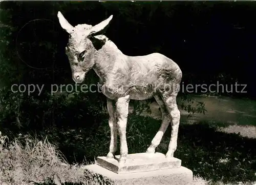 AK / Ansichtskarte Esel Tiere Denkmal Badenweiler  Kat. Tiere