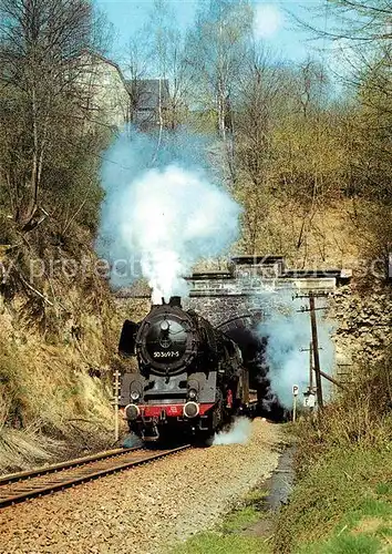 AK / Ansichtskarte Lokomotive Gueterzug Dampflokomotive 503697 Rochsburger Tunnel  Kat. Eisenbahn