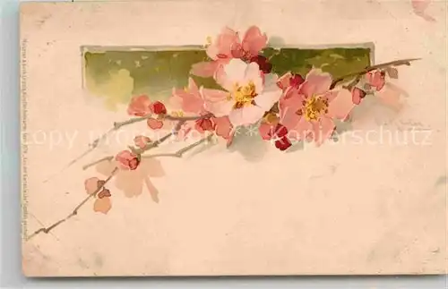 AK / Ansichtskarte Klein Catharina Blumen Litho  Kat. Kuenstlerkarte