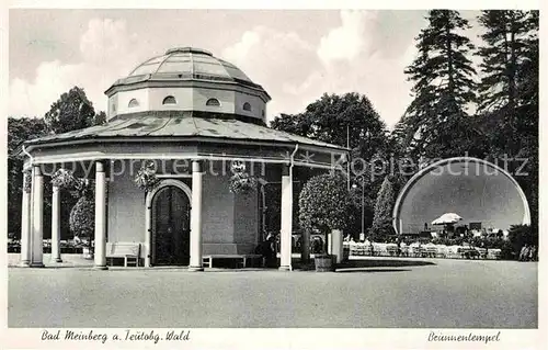 AK / Ansichtskarte Bad Meinberg Brunnentempel Kat. Horn Bad Meinberg