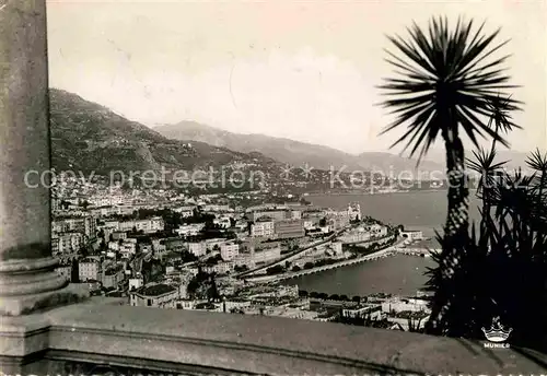 AK / Ansichtskarte Monte Carlo Terrasse Jardin Exotique Kat. Monte Carlo