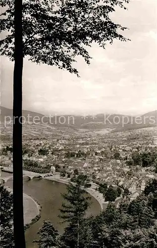 AK / Ansichtskarte Miltenberg Main Panorama Kat. Miltenberg