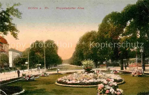 AK / Ansichtskarte Bonn Rhein Poppelsdorfer Allee Kat. Bonn