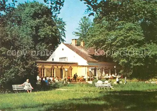 AK / Ansichtskarte Putbus Ruegen Rosencafe Kat. Putbus