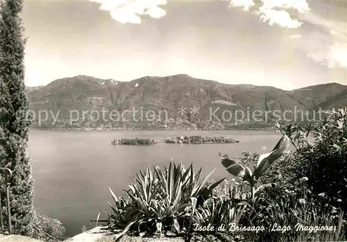 AK / Ansichtskarte Isole di Brissago Lago Maggiore Kat. Isole di Brissago
