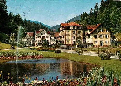 AK / Ansichtskarte Bad Rippoldsau Schwarzwald Hotel Kranz Teich Mineral und Moorbad Kat. Bad Rippoldsau Schapbach