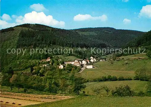 AK / Ansichtskarte Unter Schoenmattenwag Panorama Kat. Wald Michelbach