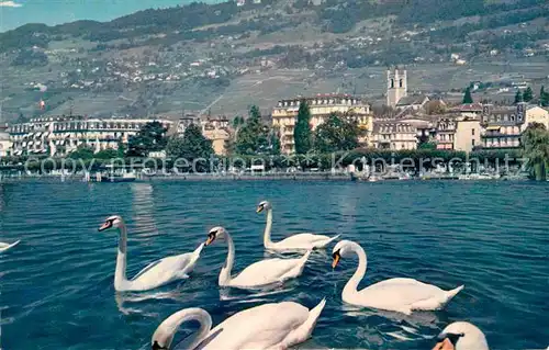 AK / Ansichtskarte Vevey VD La ville vue depuis le Quai Schwaene Kat. Vevey