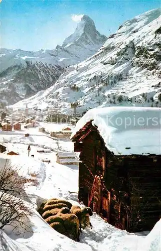 AK / Ansichtskarte Zermatt VS Winterpanorama mit Matterhorn Walliser Alpen Kat. Zermatt