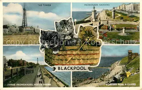 AK / Ansichtskarte Blackpool The Tower Promenade Gardens Three Promenades North Shore Boating Pool and Cliffs Cats Kat. Blackpool