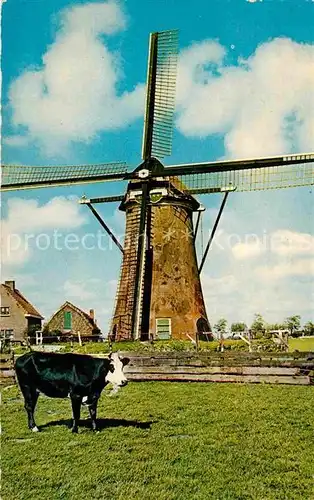 AK / Ansichtskarte Niederlande Hollandse Molen Hollaendische Muehle Kuh Kat. Niederlande