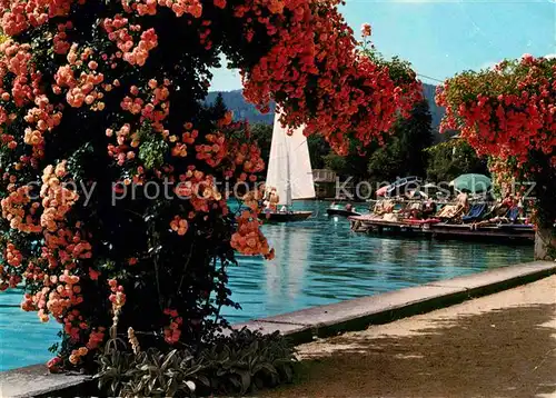 AK / Ansichtskarte Poertschach Woerthersee Blumenstrand Kat. Poertschach Woerther See Kaernten