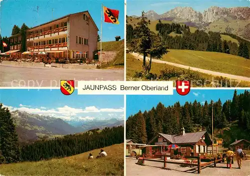 AK / Ansichtskarte Jaunpass Hotel des Alpes Gastlosen Panorama Sportbazar Kat. Jaun