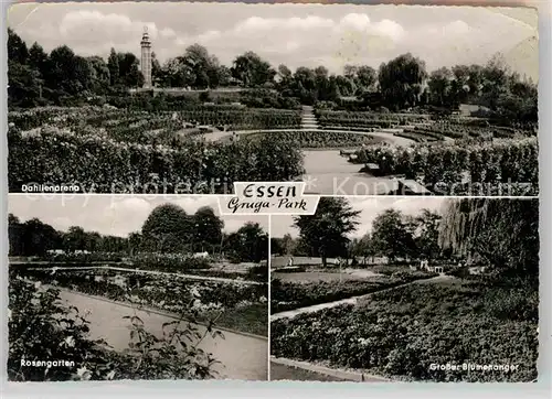 AK / Ansichtskarte Essen Ruhr Grugapark Dahlienarena Blumenanger Rosengarten Kat. Essen