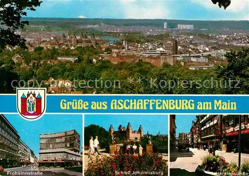 AK / Ansichtskarte Aschaffenburg Main Panorama Frohsinnstrasse Schloss Johannisburg Herstallstrasse Kat. Aschaffenburg