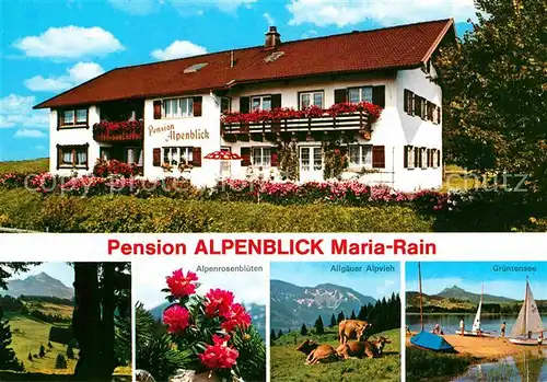 AK / Ansichtskarte Maria Rain Allgaeu Pension Alpenblick  Kat. Mittelberg Oy