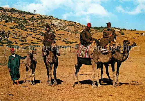 AK / Ansichtskarte Marokko Maroc Camelleros Kat. Marokko