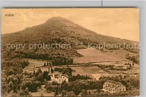 AK / Ansichtskarte Drachenfels Oelberg Kat. Koenigswinter