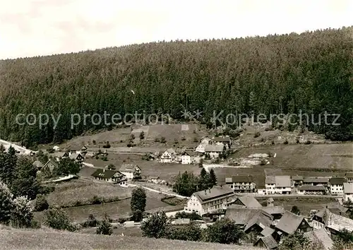 AK / Ansichtskarte Gompelscheuer Gasthof zum Enzursprung Panorama Kat. Enzkloesterle