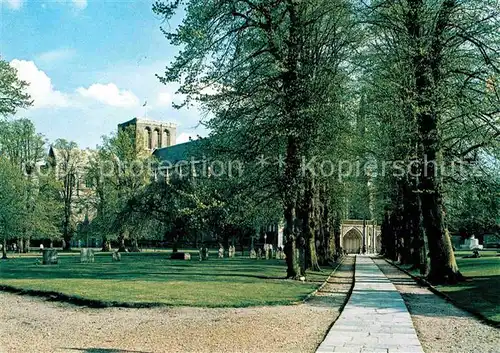 AK / Ansichtskarte Winchester Cathedral Lime Walk Kat. Winchester